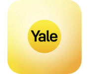 yale